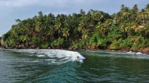 Surfurlaub auf Sri Lanka-Surf