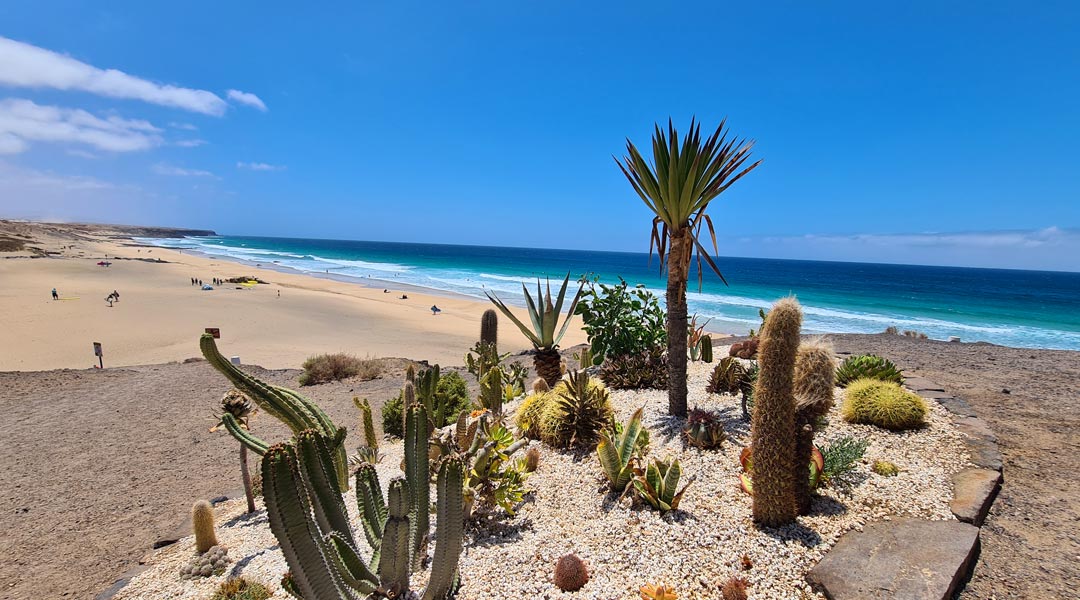 piedra playa schönste strände auf fuerteventura