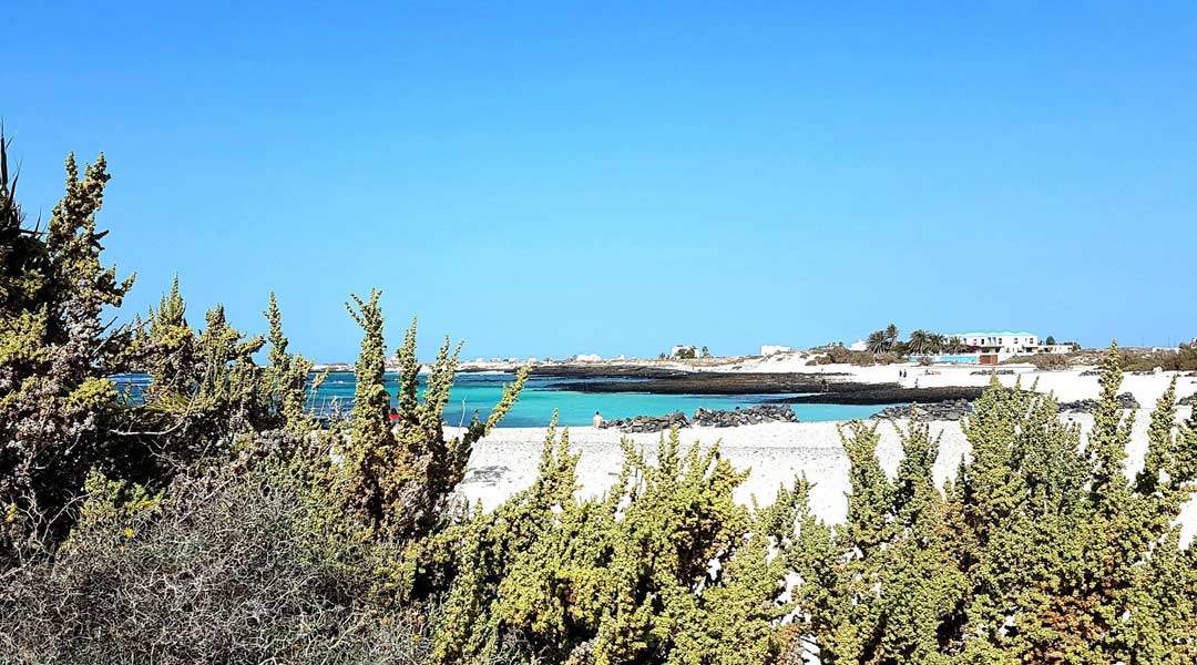 playa de la concha el cotillo schönste strände fuerteventura