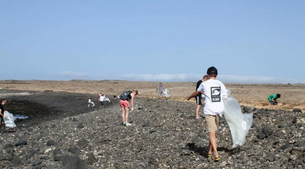 beach clean up bei freshsurf