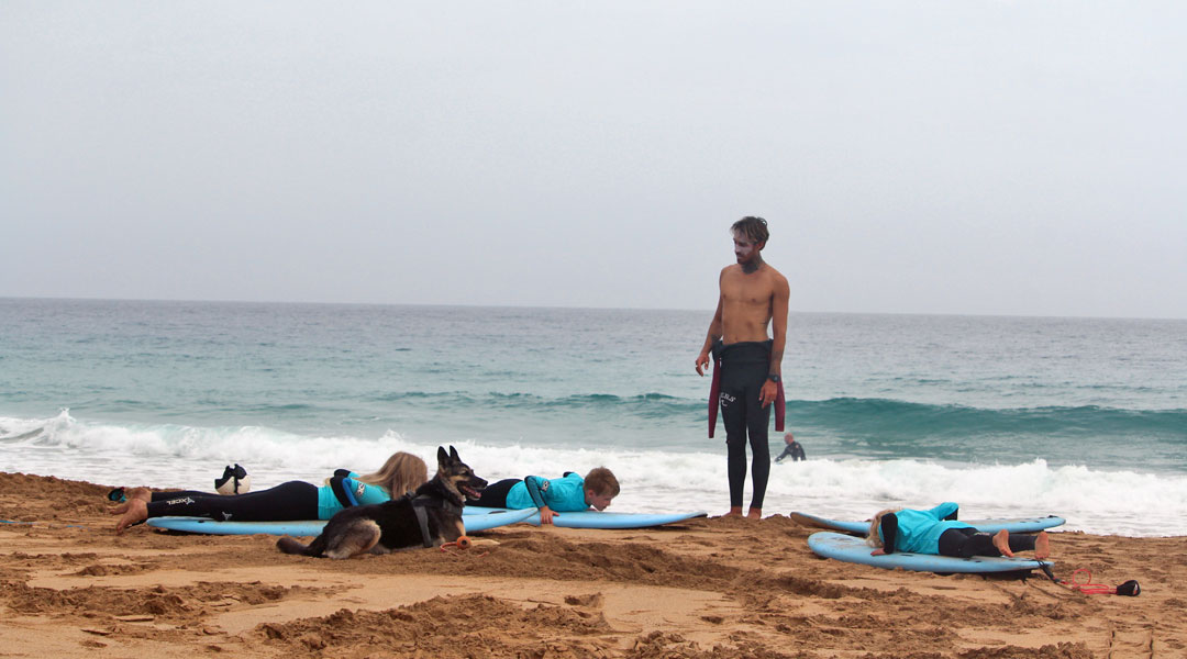 surfen lernen für kids auf fuerteventura