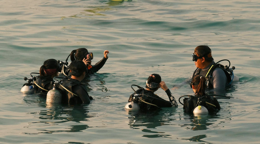 tauchen auf fuerteventura - gruppe im wasser